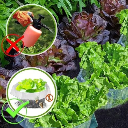 Osłona Przeciw Ślimakom 20szt Zielony Kołnierz Ochronny na Rośliny 24cm na Arena.pl