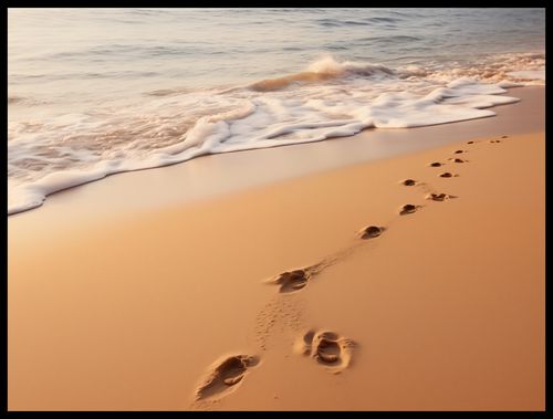 Plakat 80x60cm Szepty Fal na Arena.pl