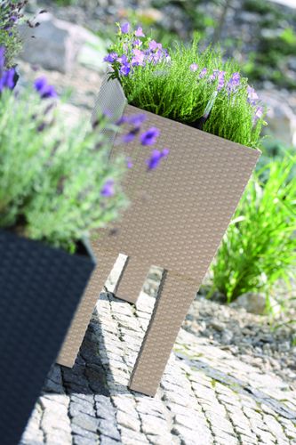 Doniczka samonawadniająca RATO Case DRTC600H | Umbra na Arena.pl