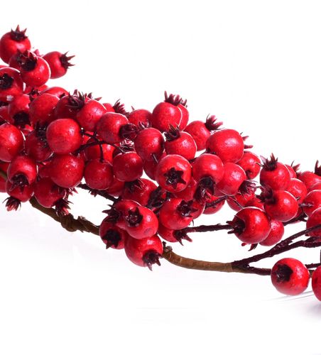 Girlanda głogu 165cm na Arena.pl