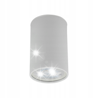 PLAFON SPOT TK LIGHTING TOP 5766 BIAŁY PUNKTOWY NATYNKOWY 1XGU10 10W