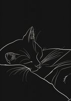 Plakat 42x59,4cm Nocny Spokój