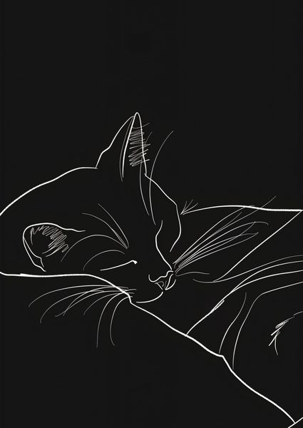 Plakat 42x59,4cm Nocny Spokój zdjęcie 1