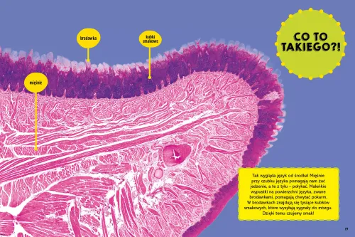 Wielka Księga Pytań Jak na Arena.pl