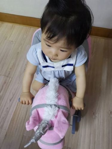 BUJAK KOŃ KONIK NA BIEGUNACH 2w1 JEŹDZIK DŹWIĘKI na Arena.pl