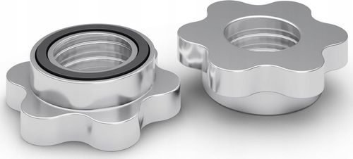 Gryfy do hantli Dumbbell Gryf Prosty Krótki Hantle 40cm 28mm 2szt. - Zipro na Arena.pl