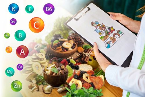 SUSZARKA DO GRZYBÓW OWOCÓW WARZYW + GRATIS TACKI na Arena.pl