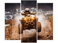 OBRAZ OFFROAD QUAD