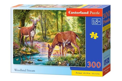 Castor 300 EL. Leśny Strumień na Arena.pl
