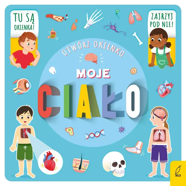 Otwórz okienko. Moje ciało zdjęcie 1