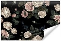 product-compare-55975316