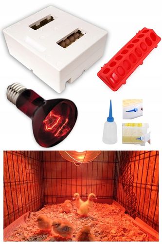 INKUBATOR AUTOMATYCZNY OVO do 56 JAJ wylęgarka klujnik + PRZEŚWIETLARKA na Arena.pl