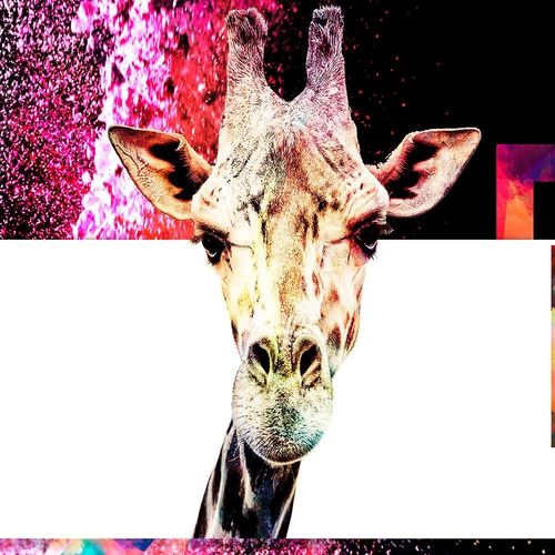Deco Panel, Ciekawska żyrafa 2 90x60 na Arena.pl