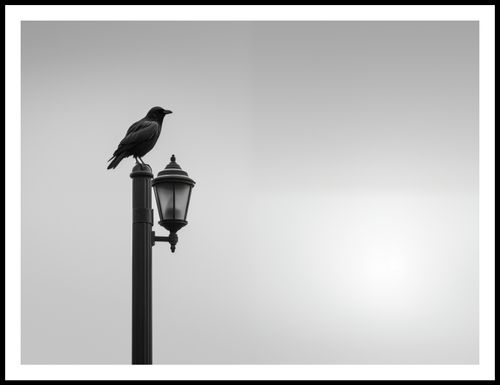 Plakat 100x75cm Samotny Postój Kruka na Arena.pl