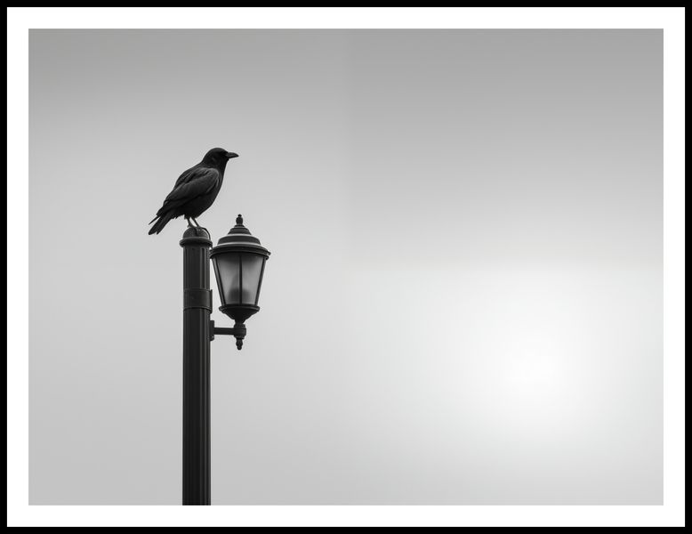 Plakat 100x75cm Samotny Postój Kruka zdjęcie 3