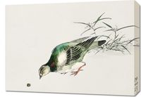 Obraz 70x50cm Turtle Dove, Kashu Japoński Vintage do Salonu