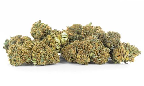 Susz konopny CBD | JACK HERER | 1 g na Arena.pl