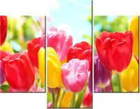 product-compare-58709852