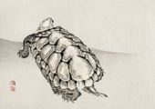 Plakat 59,4x42cm Turtle, Kōno Bairei Japoński Vintage do Salonu