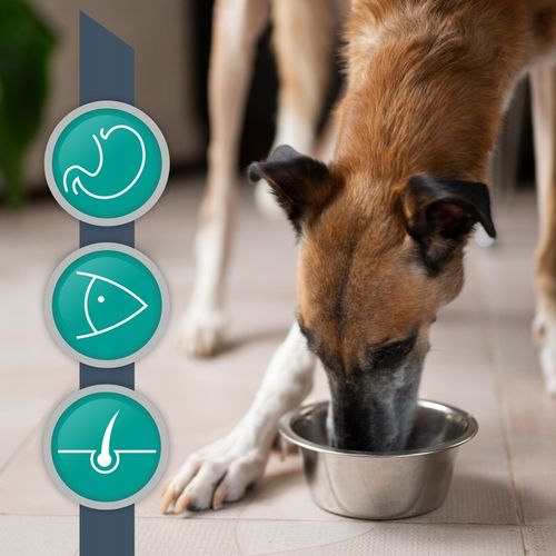 Sucha karma dla psów z alergią Vet Expert Hypoallergenic Ultra z rybą na Arena.pl