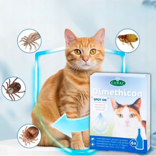PREPARAT NA PCHŁY I KLESZCZE DLA KOTA NA PÓŁ ROKU KROPLE 6 SZT DIMETHICON na Arena.pl