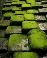 Plakat 40x50cm Zielona Mozaika