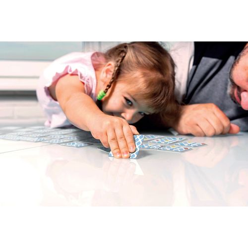 KOLOROWE NOTATKI ZWIERZĄTKA na Arena.pl