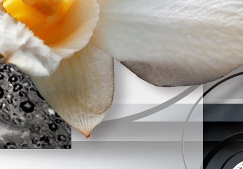 Obraz - Słoneczne orchidee Rozmiar - 200x100 na Arena.pl