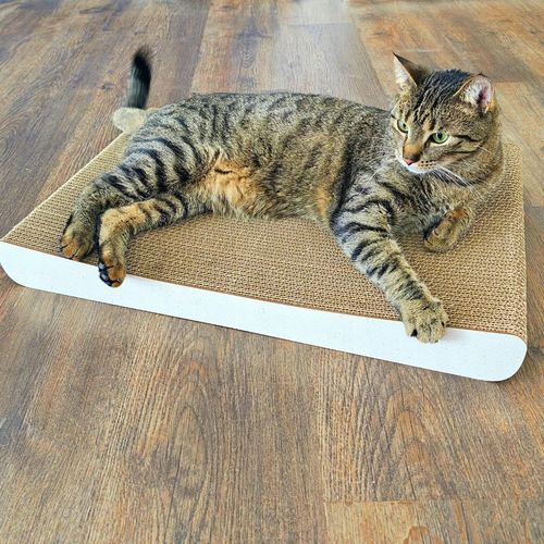 Drapak dla kota SIGMA | biały 40cm | 58x6.6x40 cm | MruuPruu na Arena.pl