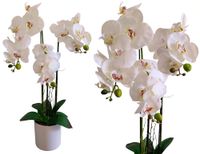 product-compare-53545963