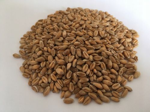 Pasza karma ziarna dla kur niosek bez GMO susz marchew pokrzywa NATURALNA na Arena.pl