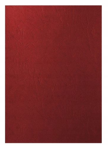 Karton Delta Skóropod. A4 Czerwony (100) 2186 na Arena.pl