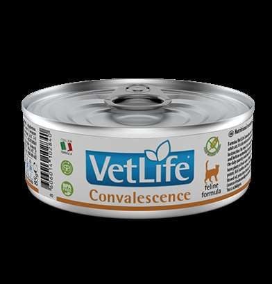 Farmina Vet Life Cat Convalescence 85gr na Arena.pl
