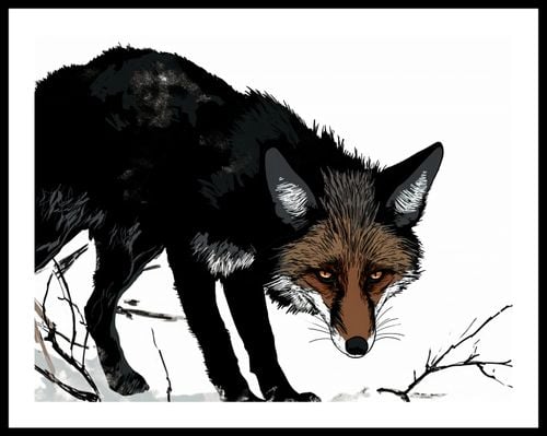 Plakat 65x50cm Nieufny Lis na Arena.pl