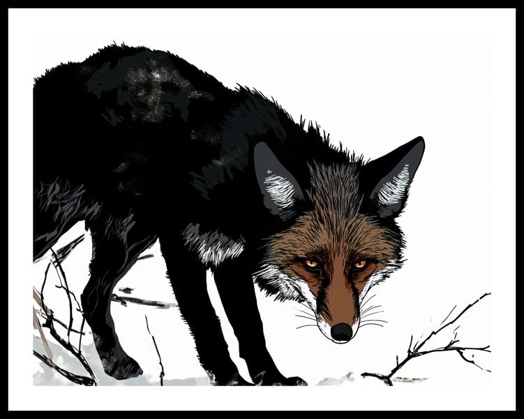 Plakat 65x50cm Nieufny Lis zdjęcie 3