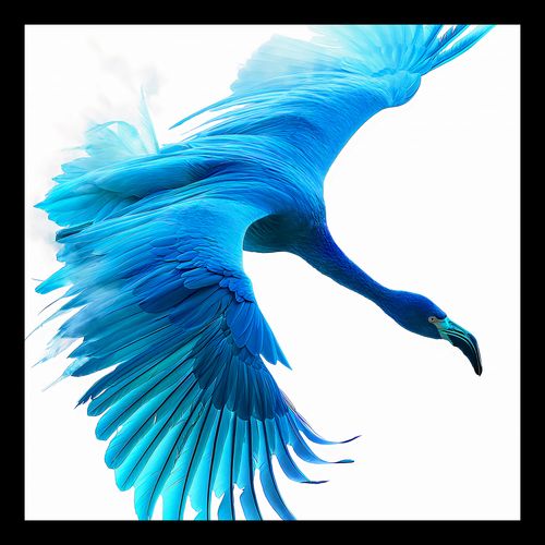 Plakat 20x20cm Błękitny Lot na Arena.pl