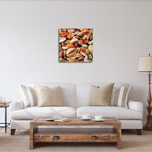 Deco Panel, Muszle 30x30 na Arena.pl