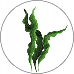 Peeling do skóry głowy enzymatyczny trychologiczny WAX Tricho 150ml na Arena.pl