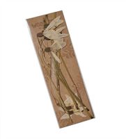 Suszone kwiaty prasowane - Pierwiosnki 10szt