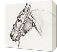Obraz 30x30cm Głowa Konia 2, Jean Bernard Vintage do Salonu