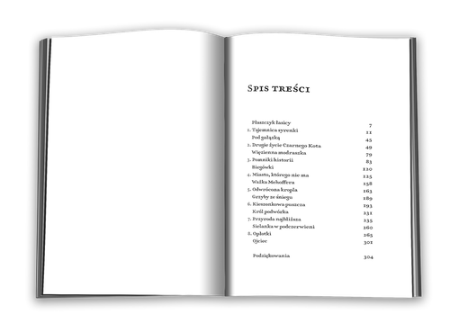 Drugie życie Czarnego Kota na Arena.pl