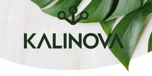 NEEMAZAL TS Owadobójczy 3ml + Żółte lepy 12szt. na Ziemiórki Mszyce na Arena.pl