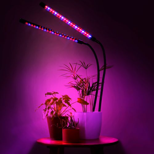 lampa led do wzrostu roślin 40 diod timer 15 w uprawa roślin do domu na Arena.pl