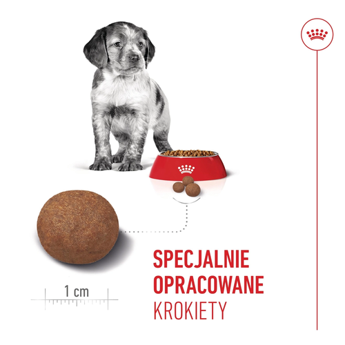 royal canin medium puppy 4kg na Arena.pl