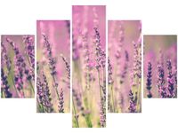 105CM 150CM OBRAZ 5 ELEM LAWENDA DRUK