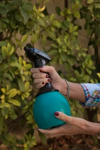 KEEPER Opryskiwacz akumulatorowy Forest 1L zdjęcie 3