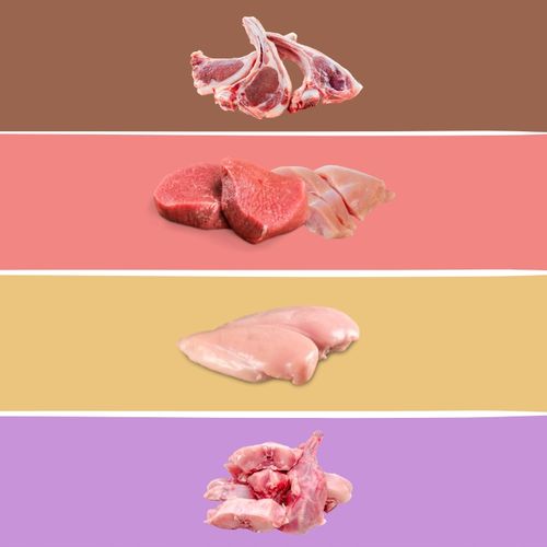 MOKRA KARMA DLA KOTA MEGA BOX MIX SMAKÓW 24X100G SASZETKI DLA KOTA na Arena.pl