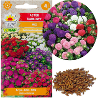 ASTER KARŁOWY MIX 1G NASIONA MIESZANKA NASION KOLORÓW ASTRA NA RABATY