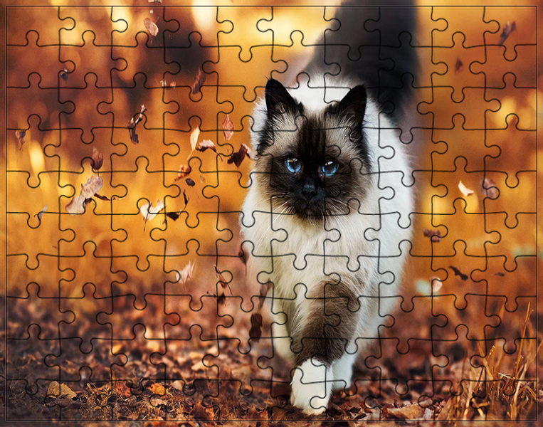 Puzzle Koty zdjęcie 1