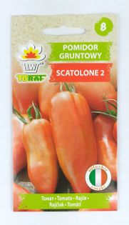 Pomidor Gruntowy Włoski SCATOLONE 2 Wysoki Nasiona